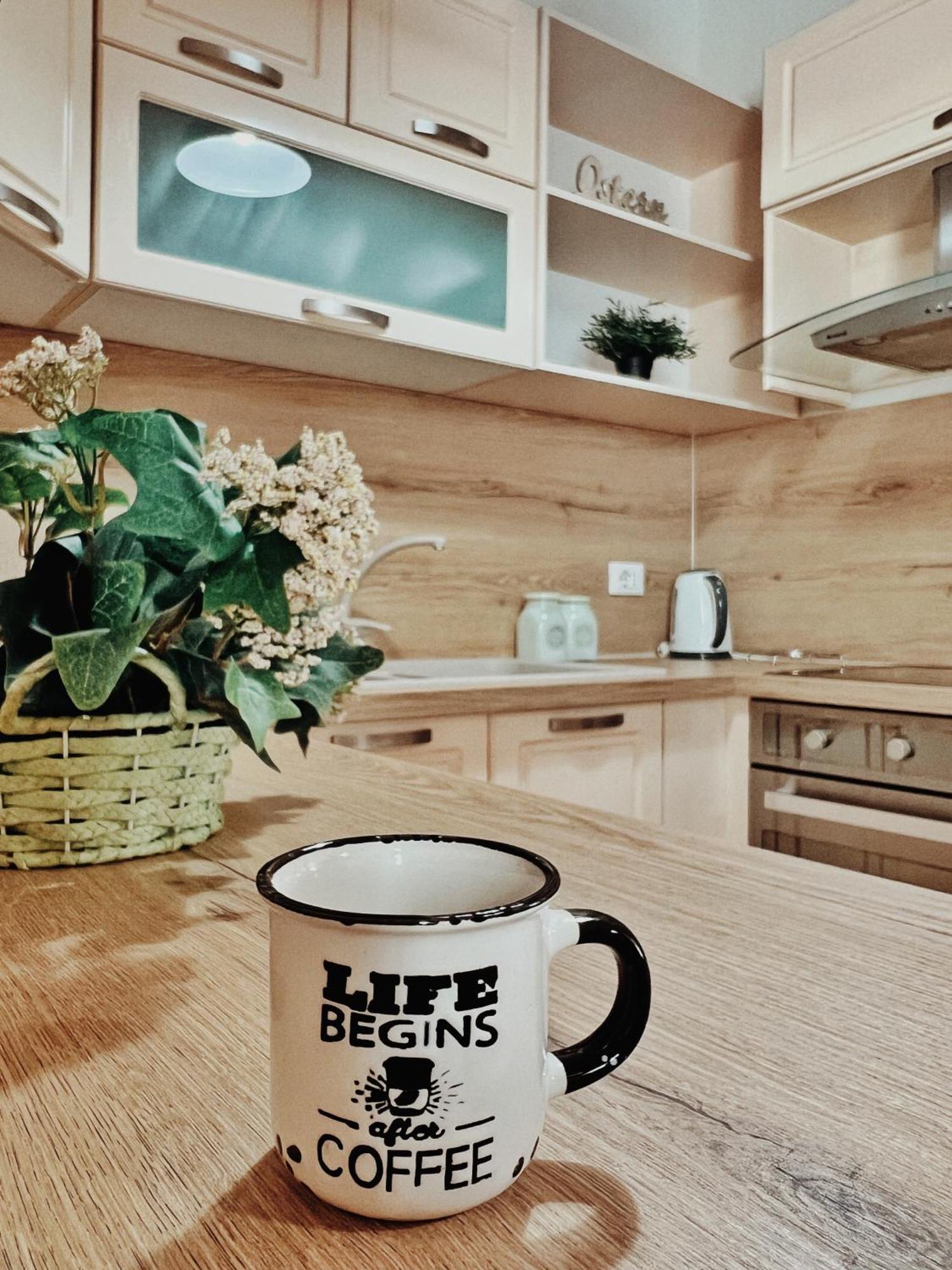 Cozy Rooftop Apartment - Your Home, Away From Home! Tirana Exteriér fotografie